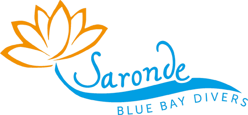 Saronde Island Resort - Seaview 