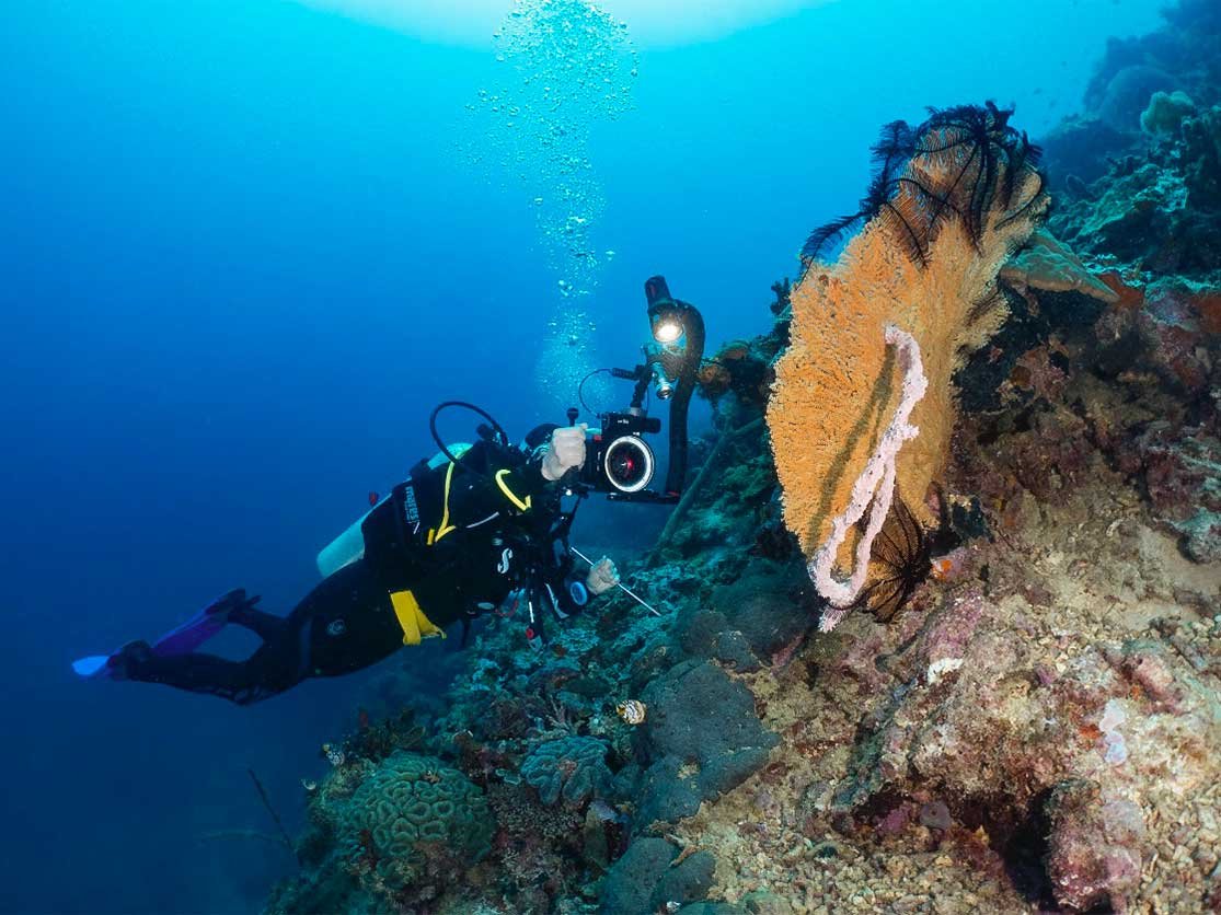 Diving Activity - Saronde Island Resort - Gorontalo